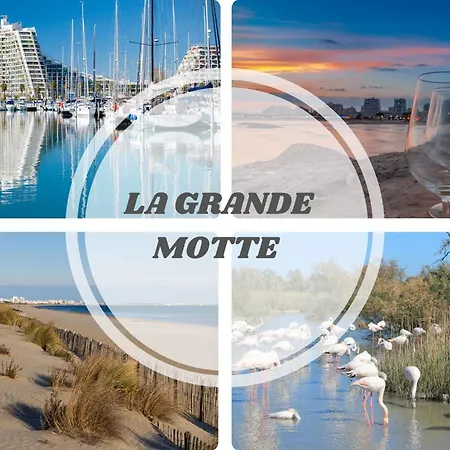 Le Calderini - Face Wifi Et Park Gratuit Calme - Résid Le Surcouf - Cohôteconciergerie Motte * La Grande-Motte